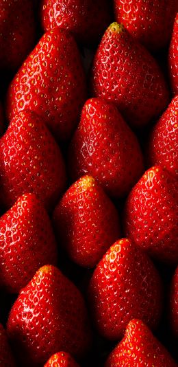 strawberry, summer berry Wallpaper 1080x2220