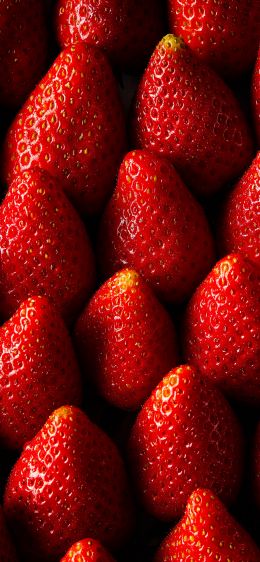 strawberry, summer berry Wallpaper 1170x2532