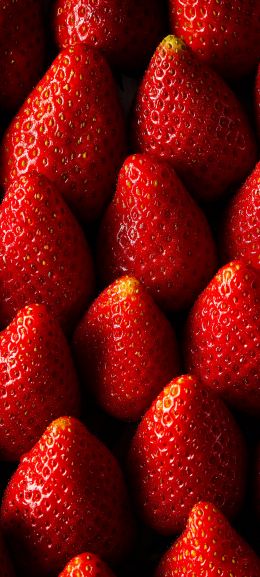 strawberry, summer berry Wallpaper 720x1600