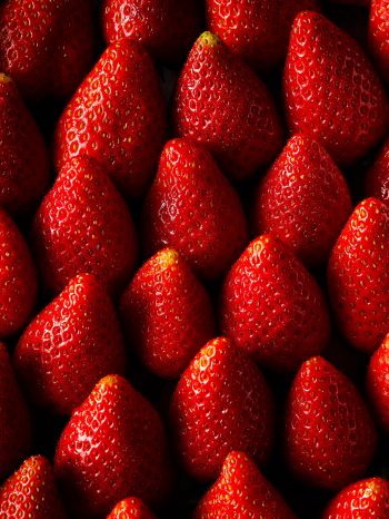 strawberry, summer berry Wallpaper 1620x2160