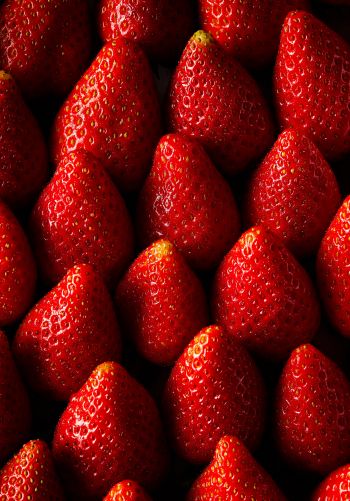 strawberry, summer berry Wallpaper 1668x2388
