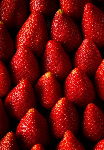 strawberry, summer berry Wallpaper 1640x2360