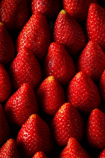 strawberry, summer berry Wallpaper 640x960