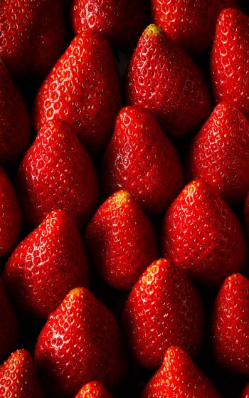 strawberry, summer berry Wallpaper 1752x2800