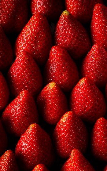 strawberry, summer berry Wallpaper 1600x2560