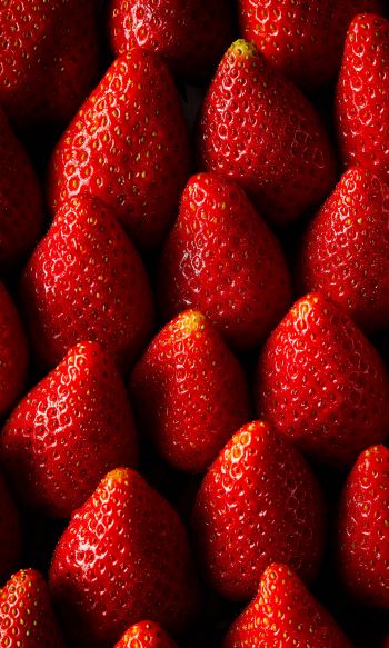 strawberry, summer berry Wallpaper 1200x2000