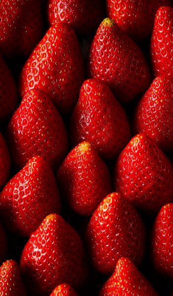 strawberry, summer berry Wallpaper 600x1024