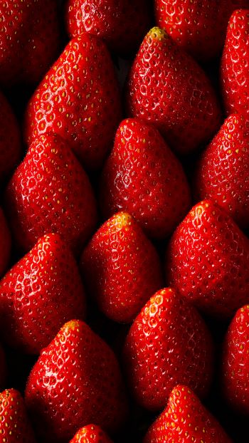strawberry, summer berry Wallpaper 1080x1920