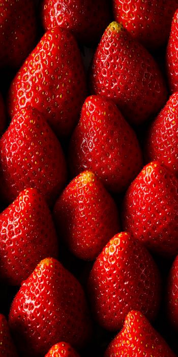 strawberry, summer berry Wallpaper 720x1440