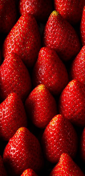 strawberry, summer berry Wallpaper 1080x2220