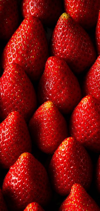 strawberry, summer berry Wallpaper 1440x3040