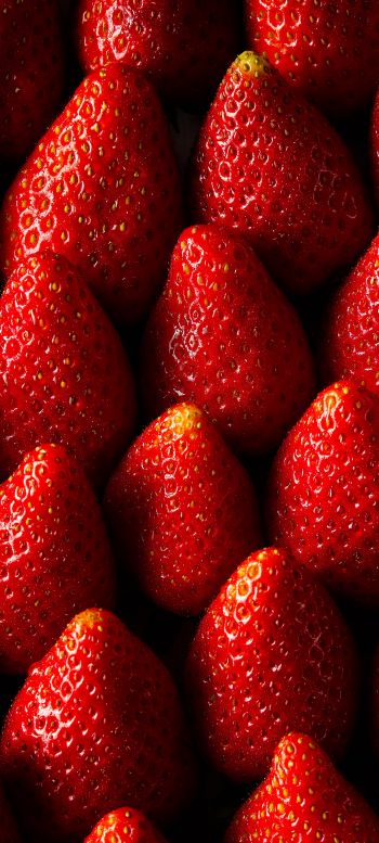 strawberry, summer berry Wallpaper 1440x3200