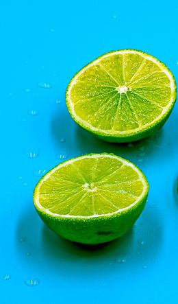 citrus, lime Wallpaper 600x1024