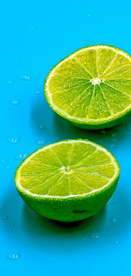 citrus, lime Wallpaper 1080x2280