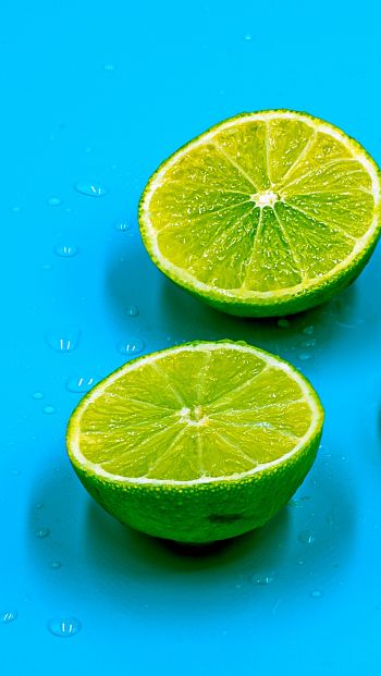 citrus, lime Wallpaper 640x1136