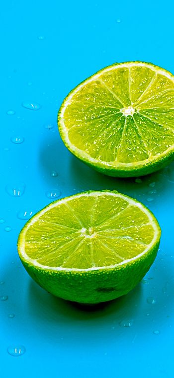 citrus, lime Wallpaper 1284x2778