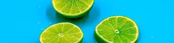 citrus, lime Wallpaper 1590x400