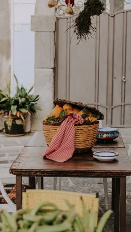 in the yard, basket of lemons Wallpaper 640x1136