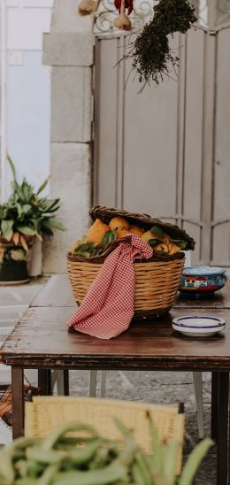 in the yard, basket of lemons Wallpaper 1080x2280