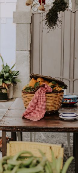 in the yard, basket of lemons Wallpaper 1440x3200