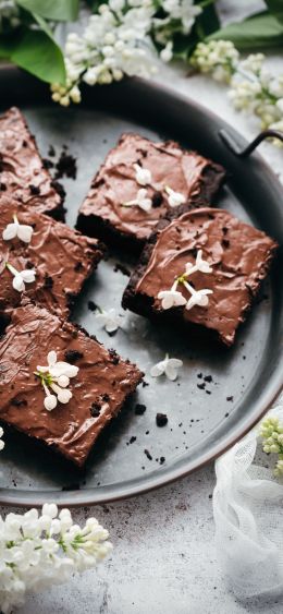 brownies, chocolate cake Wallpaper 1080x2340