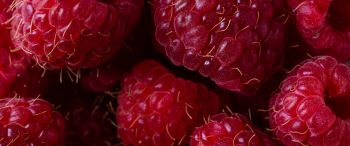 berry, raspberries, red wallpaper Wallpaper 3440x1440