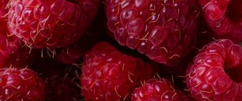 berry, raspberries, red wallpaper Wallpaper 2560x1080