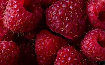 berry, raspberries, red wallpaper Wallpaper 1920x1200