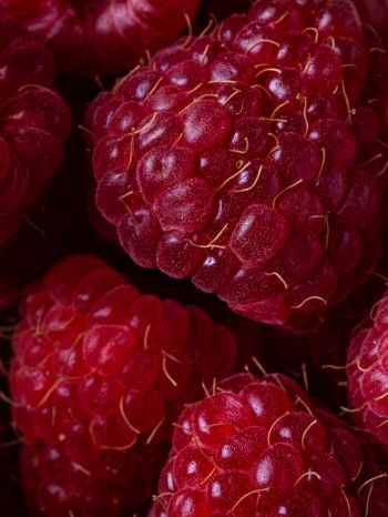 berry, raspberries, red wallpaper Wallpaper 2048x2732