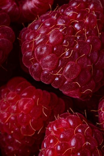 berry, raspberries, red wallpaper Wallpaper 640x960