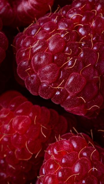 berry, raspberries, red wallpaper Wallpaper 640x1136