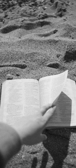 reading, beach, sand Wallpaper 1080x2400