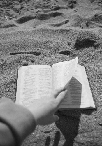 Обои 1668x2388 чтение, пляж, песок