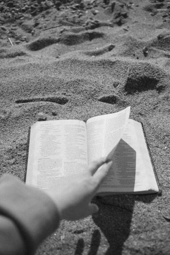 Обои 640x960 чтение, пляж, песок