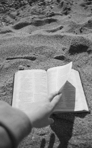 Обои 800x1280 чтение, пляж, песок