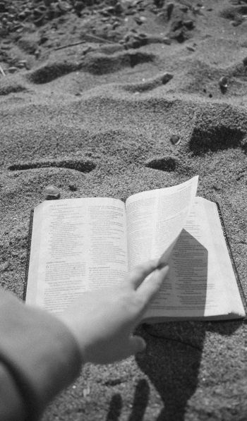 Обои 600x1024 чтение, пляж, песок