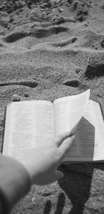 Обои 1440x2960 чтение, пляж, песок