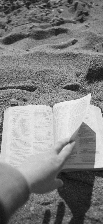 Обои 1125x2436 чтение, пляж, песок