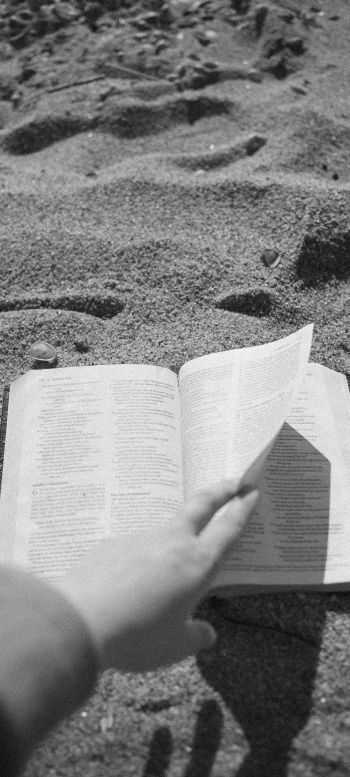 reading, beach, sand Wallpaper 720x1600