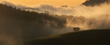 dawn, valley, mist Wallpaper 3440x1440
