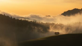 dawn, valley, mist Wallpaper 2048x1152