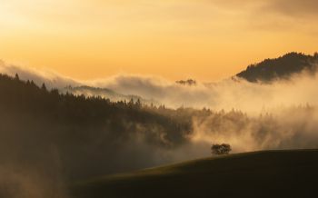 dawn, valley, mist Wallpaper 2560x1600