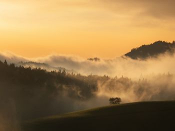 dawn, valley, mist Wallpaper 800x600