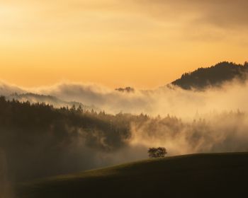 dawn, valley, mist Wallpaper 1280x1024