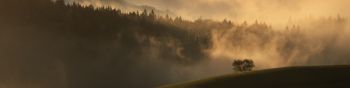 dawn, valley, mist Wallpaper 1590x400