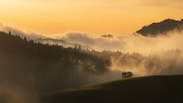 dawn, valley, mist Wallpaper 1600x900