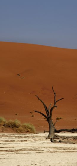 Deadlay, Sossusvlei, Namibia Wallpaper 1284x2778