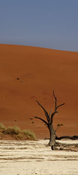 Deadlay, Sossusvlei, Namibia Wallpaper 1080x2400
