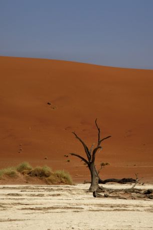 Deadlay, Sossusvlei, Namibia Wallpaper 640x960