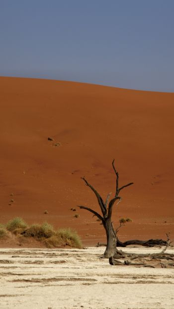 Deadlay, Sossusvlei, Namibia Wallpaper 640x1136